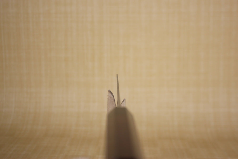 Kanjo ZDP-189 240 mm Chef's knife Japanese style octagon Red Handle