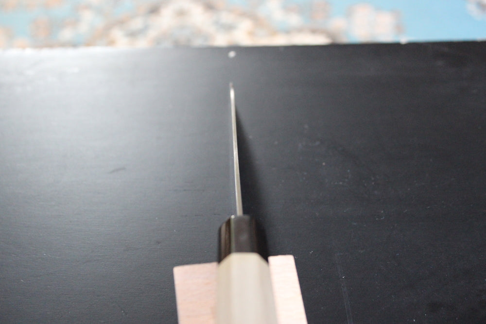 Goh Yoshihiro 210 mm (8.25 inch) Aogami super chef's knife with Saya