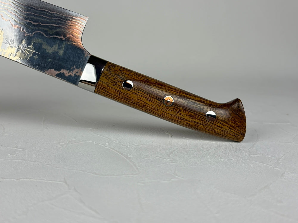 Takeshi Saji Blue 2 core Rainbow Damascus Chef knife 210mm Ironwood Handle